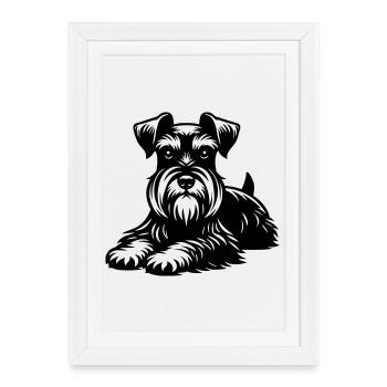 Miniature Schnauzer - Framed poster (27 × 37 cm) - white - Front