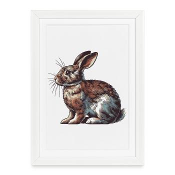 Hare - Framed poster (27 × 37 cm) - white - Front