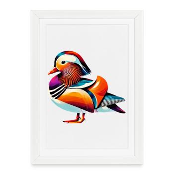 Canard mandarin - Affiche encadrée (27 × 37 cm) - blanc - Devant