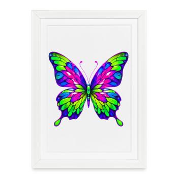 Butterfly - Framed poster (27 × 37 cm) - white - Front
