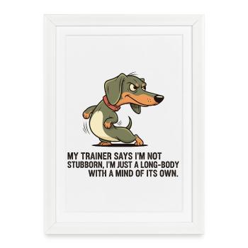 Long body with its own head - Framed poster (27 × 37 cm) - white - Front