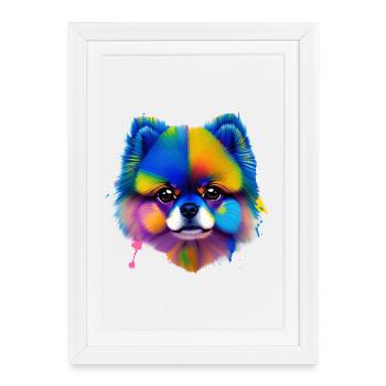 Portrait coloré d’éclaboussures de chien poméranien - Affiche encadrée (27 × 37 cm) - blanc - Devant