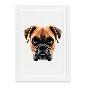 Club allemand de boxer boxer club allemand - Affiche encadrée (27 × 37 cm) - blanc - Devant
