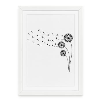 Pissenlit - Affiche encadrée (27 × 37 cm) - blanc - Devant