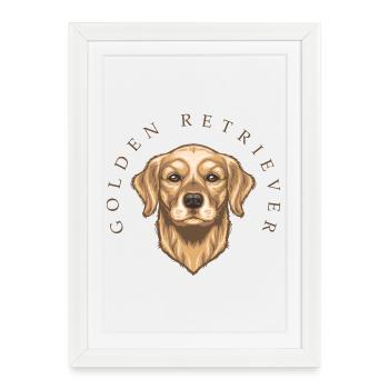 Golden Retriever - Affiche encadrée (27 × 37 cm) - blanc - Devant