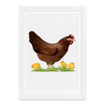 poulet brun avec poussins fraîchement éclos - Affiche encadrée (27 × 37 cm) - blanc - Devant