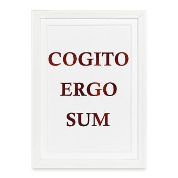 Cogito Ergo Sum - Framed poster (27 × 37 cm) - white - Front