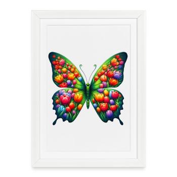 Tulipes papillon Hollande - Affiche encadrée (27 × 37 cm) - blanc - Devant