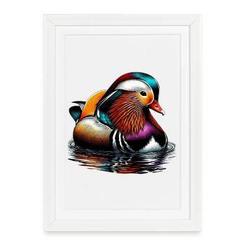 Canard mandarin - Affiche encadrée (27 × 37 cm) - blanc - Devant