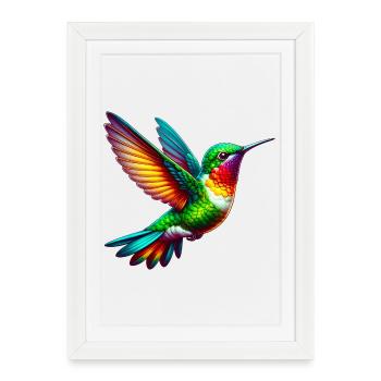 Colibri - Affiche encadrée (27 × 37 cm) - blanc - Devant