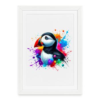 Macareux - Affiche encadrée (27 × 37 cm) - blanc - Devant