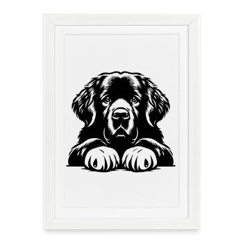 Newfoundland - Framed poster (27 × 37 cm) - white - Front