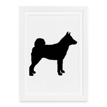 Norwegian Elkhound - Framed poster (27 × 37 cm) - white - Front