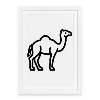 chameau - Affiche encadrée (27 × 37 cm) - blanc - Devant