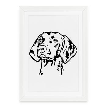 Magyar Vizsla head - Framed poster (27 × 37 cm) - white - Front