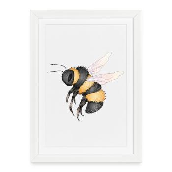 dessin détaillé d’un bourdon volant - Affiche encadrée (27 × 37 cm) - blanc - Devant