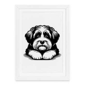 Havanais - Affiche encadrée (27 × 37 cm) - blanc - Devant