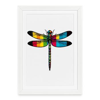 Libellule - Affiche encadrée (27 × 37 cm) - blanc - Devant