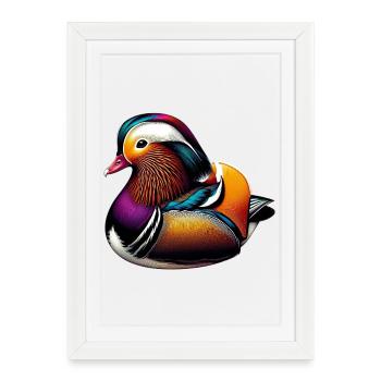 Canard mandarin - Affiche encadrée (27 × 37 cm) - blanc - Devant