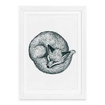 Renard recroquevillé - Affiche encadrée (27 × 37 cm) - blanc - Devant