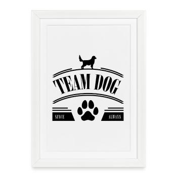Chien d’équipe - Affiche encadrée (27 × 37 cm) - blanc - Devant