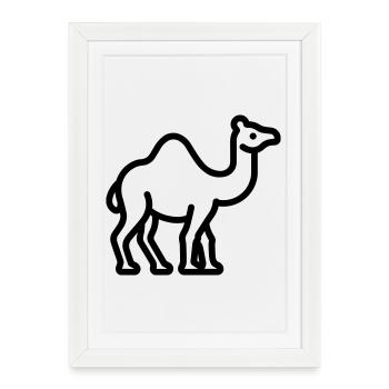 chameau - Affiche encadrée (27 × 37 cm) - blanc - Devant