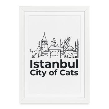 Ville des Chats d’Istanbul - Affiche encadrée (27 × 37 cm) - blanc - Devant