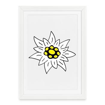Edelweiss - Affiche encadrée (27 × 37 cm) - blanc - Devant