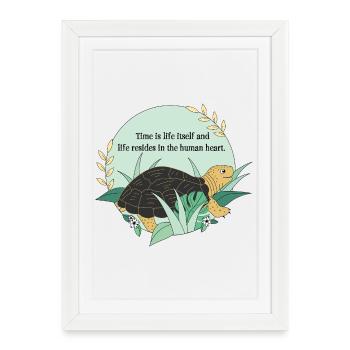 Turtle Cassiopeia - Framed poster (27 × 37 cm) - white - Front