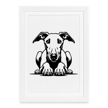 Whippet Head with Paws - Framed poster (27 × 37 cm) - white - Front