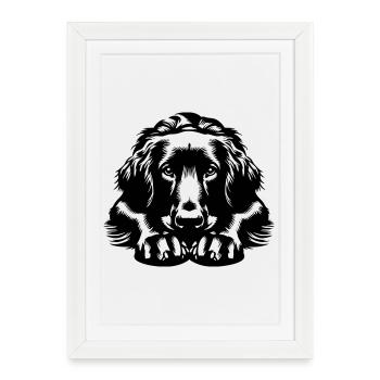 Flat-coated Retriever - Framed poster (27 × 37 cm) - white - Front