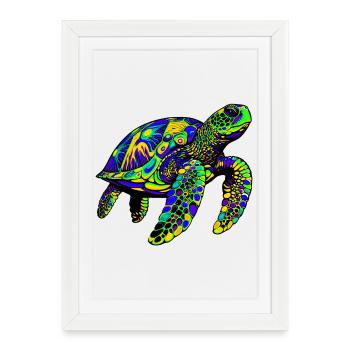Tortue marine - Affiche encadrée (27 × 37 cm) - blanc - Devant