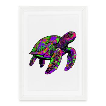 Tortue marine - Affiche encadrée (27 × 37 cm) - blanc - Devant