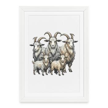 Goat herd - Framed poster (27 × 37 cm) - white - Front