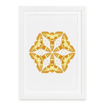 Papillons Mandala dorés – Insectes - Affiche encadrée (27 × 37 cm) - blanc - Devant