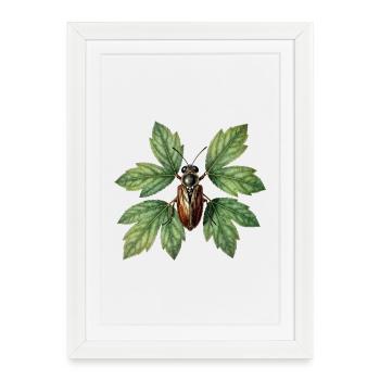 Insecte coléoptère sur feuillage verdoyant - Affiche encadrée (27 × 37 cm) - blanc - Devant
