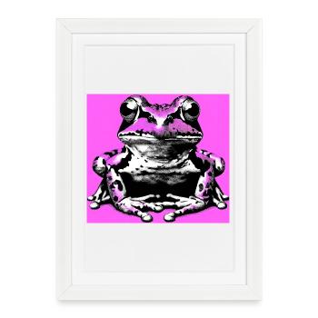 grenouille - Affiche encadrée (27 × 37 cm) - blanc - Devant