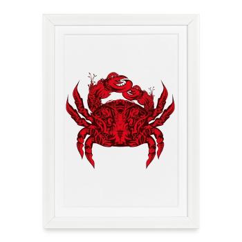Un crabe royal rouge - Affiche encadrée (27 × 37 cm) - blanc - Devant