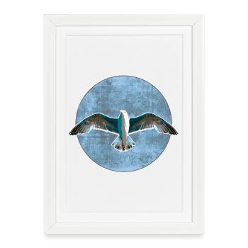 Mouette - Affiche encadrée (27 × 37 cm) - blanc - Devant