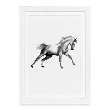 cheval - Affiche encadrée (27 × 37 cm) - blanc - Devant