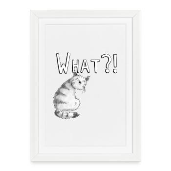 Motif de chat I chat ennuyé avec dire je - Affiche encadrée (27 × 37 cm) - blanc - Devant