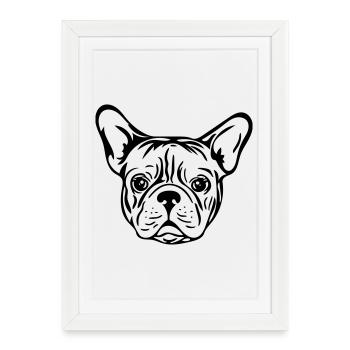 Bulldog français - Affiche encadrée (27 × 37 cm) - blanc - Devant