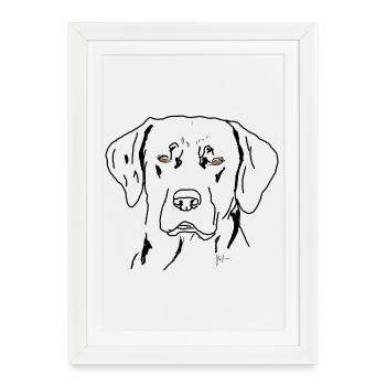 Labrador - Affiche encadrée (27 × 37 cm) - blanc - Devant