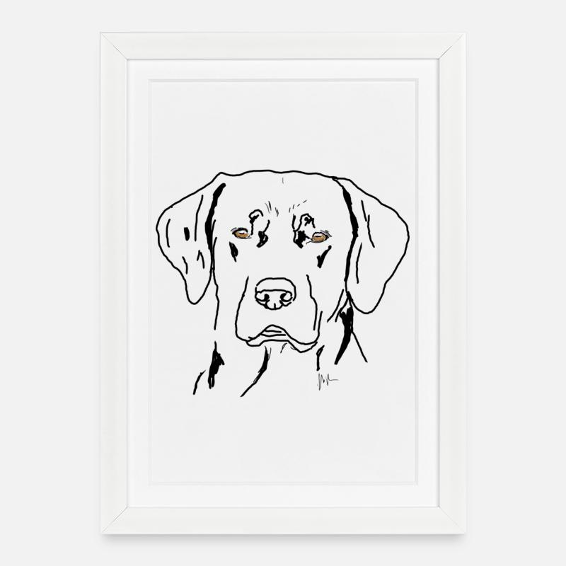 Labrador - Framed poster (27 × 37 cm) - white