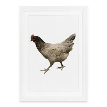 poulet gris - Affiche encadrée (27 × 37 cm) - blanc - Devant