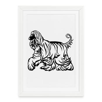 Afghan - Affiche encadrée (27 × 37 cm) - blanc - Devant