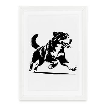 Bernese Mountain Dog - Framed poster (27 × 37 cm) - white - Front