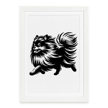 Dwarf spitz - Framed poster (27 × 37 cm) - white - Front