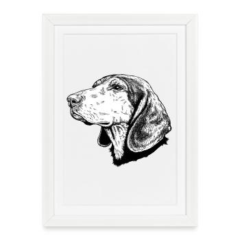 Greek Hound sw Hellenikos Ichnilatis - Framed poster (27 × 37 cm) - white - Front