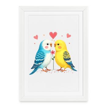 Perruches perruches amoureuses des oiseaux - Affiche encadrée (27 × 37 cm) - blanc - Devant